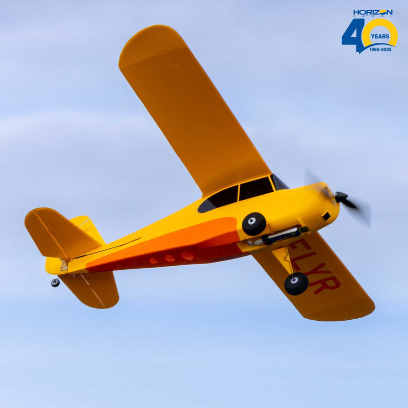 HBZ04900 HobbyZone Champ Anniversary Special Edition 515mm RTF with SAFE
