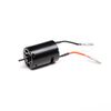 LOS-1907 Losi  28T 380 Sized Brushed Motor: NASCAR
