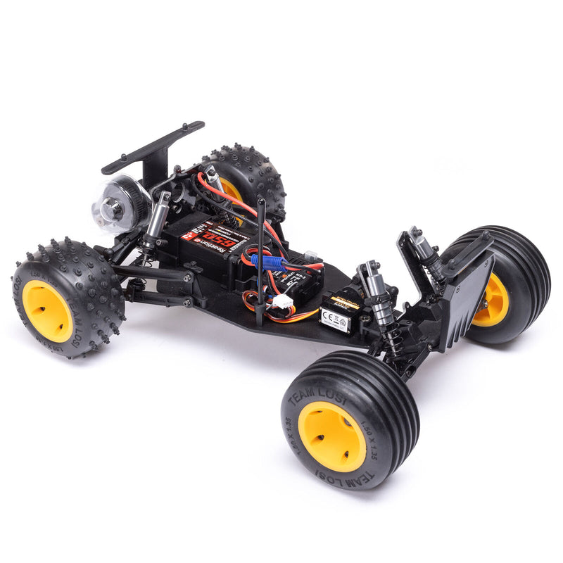 LOS01021 Losi 1/16 Mini JRXT Brushed 2WD Limited Edition Racing Monster Truck RTR
