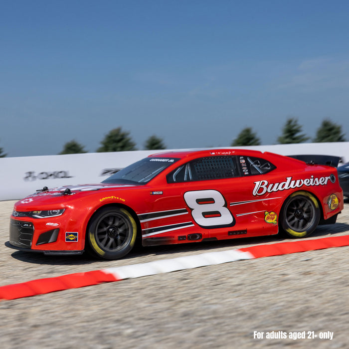 LOSF1122508 1/12 NASCAR RC Racecar Dale Earnhardt Jr. No. 8 Budweiser Chevrolet ZL1 2S AWD RTR Brushed On-Road (Battery & Charger Included), Red