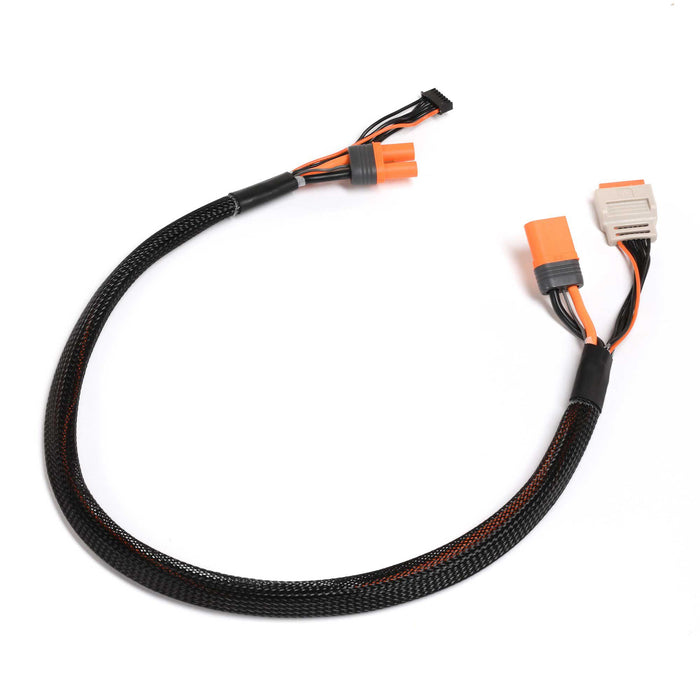 SPMX-1012 Spektrum Charge Lead with Balance Extension 24" IC5, 2-6S