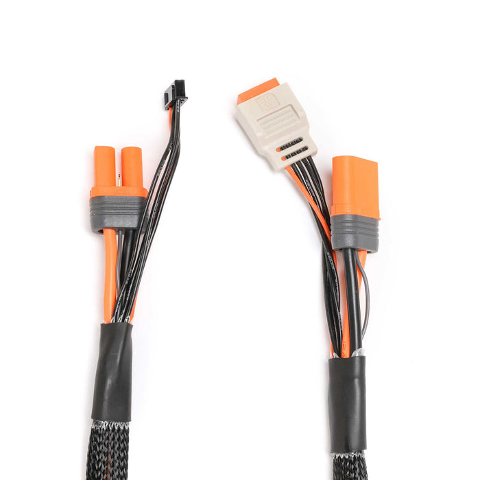 SPMX-1012 Spektrum Charge Lead with Balance Extension 24" IC5, 2-6S