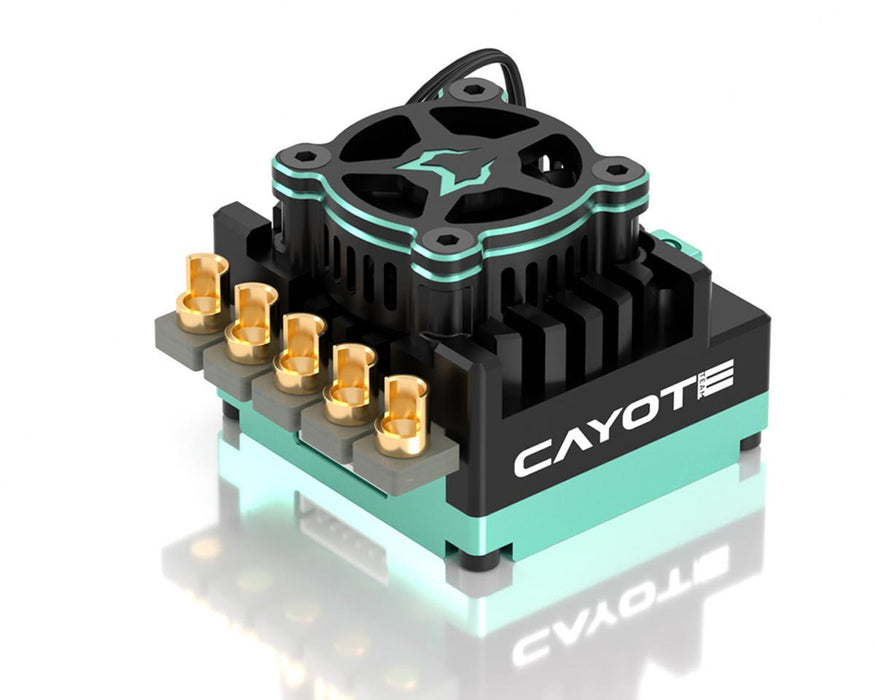 CYEA11002 Cayote Crest RS120 1/10 Stock 120A Sensored Brushless Competition ESC