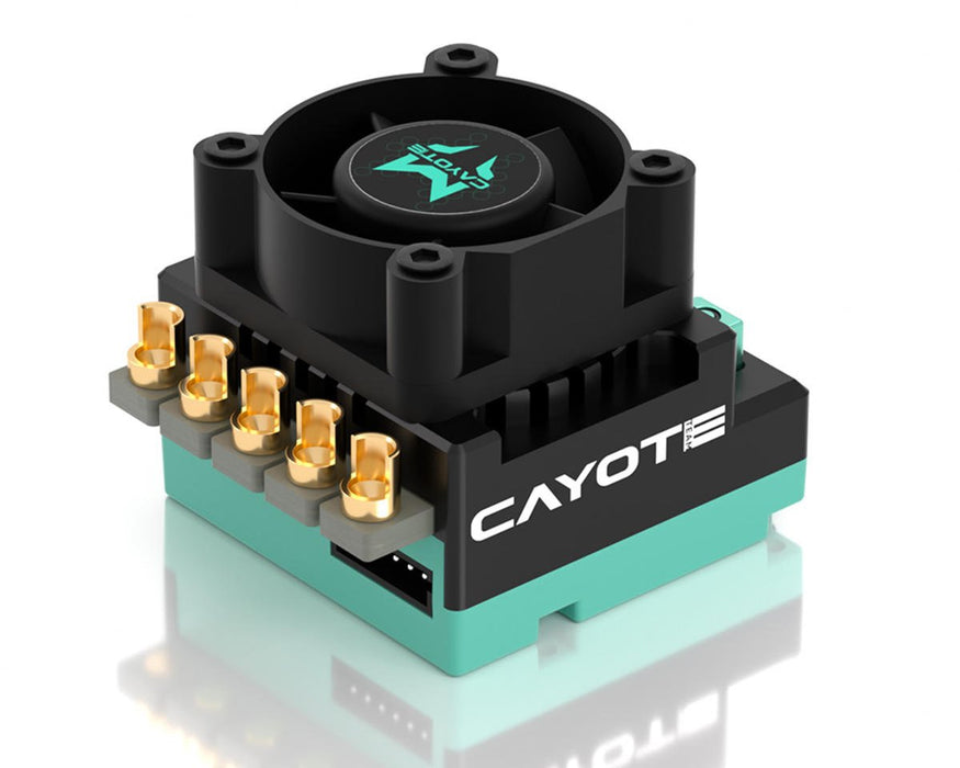 CYEA11003 Cayote Crest RS80 1/10 Stock 80A Sensored Brushless Competition ESC