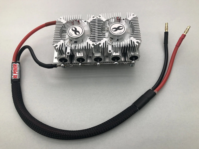 RL Power Icharger Discharge Resistor Bank W/4mm bullets