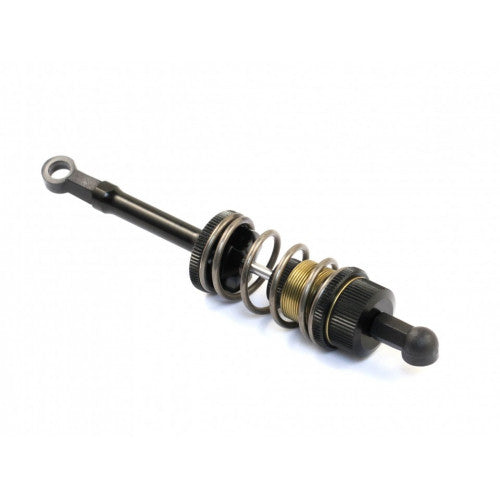 310122 Roche - Rapide P12-2017 DVS-W Shock Set